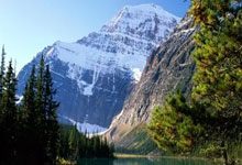 [图]足协杯-奇塔迪尼双响奥斯卡点射 海港3-2申花.