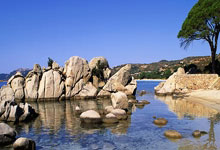 28岁狮城水手足球队球员 因心脏问题退役.